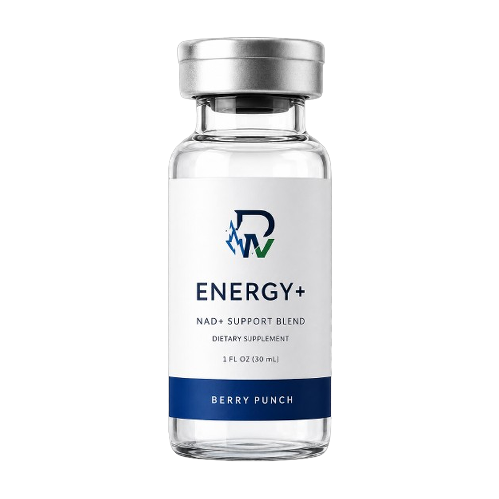 ENERGY+ Protocol
