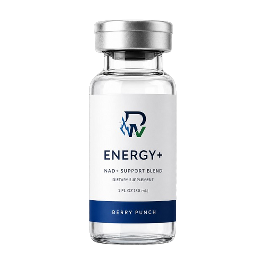 ENERGY+ Protocol
